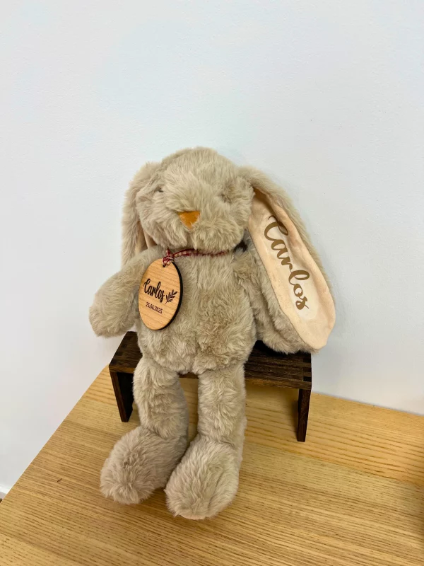 9b2532f1-4991-44eb-96df-1a329ed81a4b Peluche personalizado con placa