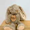 af22e0b4-1ee5-4c22-8256-0fde6db27172 Peluche personalizado con placa