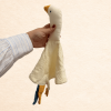 Dudú pajarito